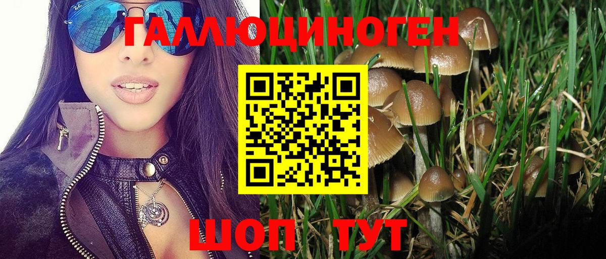Псилоцибиновые грибы MAGIC MUSHROOMS  Псилоцибиновые грибы Magic Shrooms  Вход с VPN  Ишимбай 