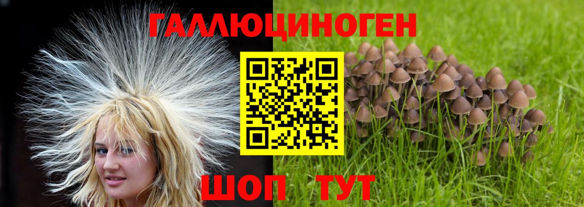 Псилоцибиновые грибы прущие грибы Ишимбай